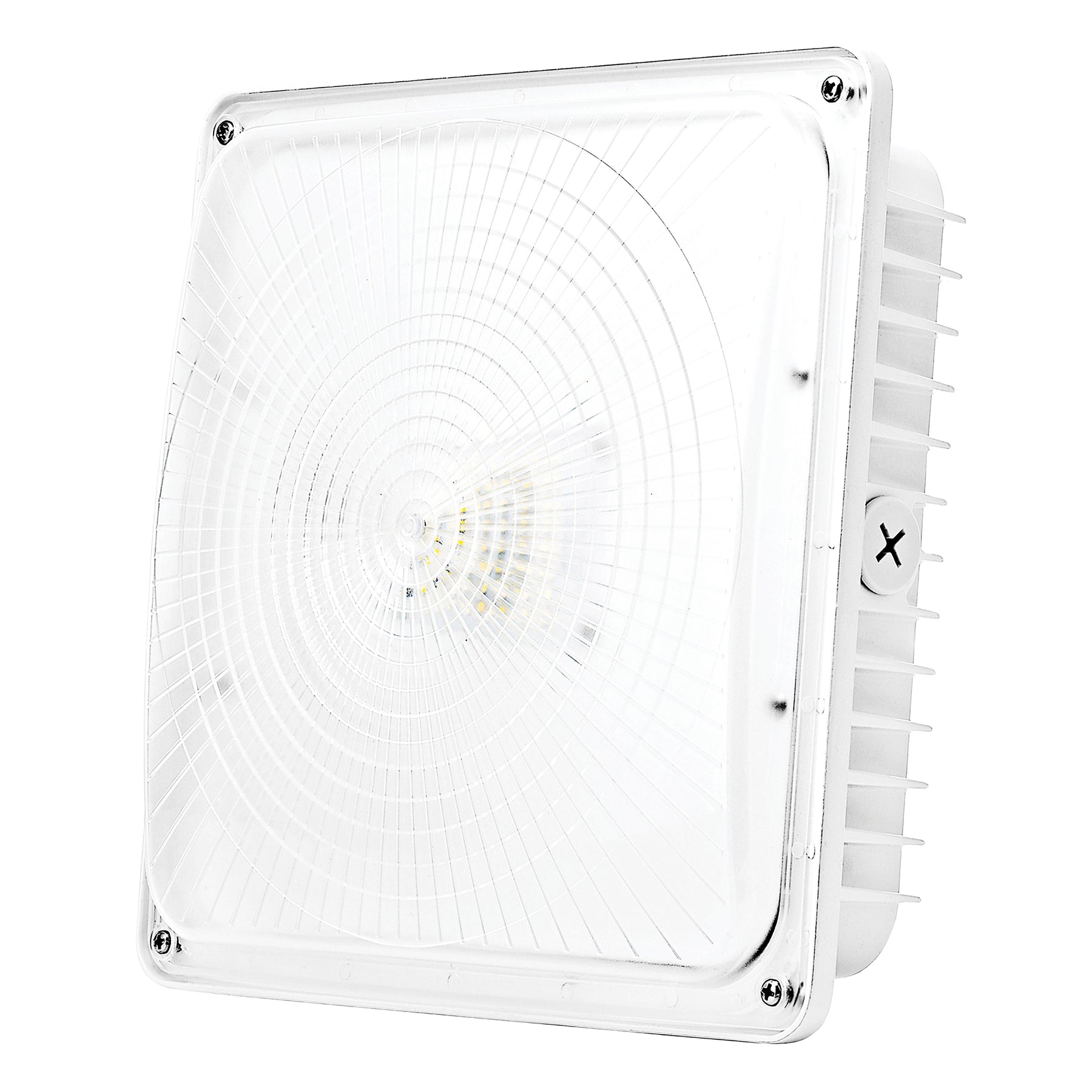 Canopy Light | Indoor & Outdoor Commercial Light | Parmida LED