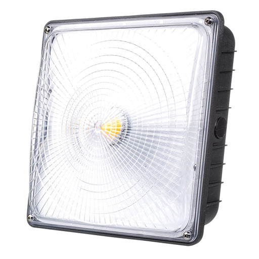 LED Canopy Light