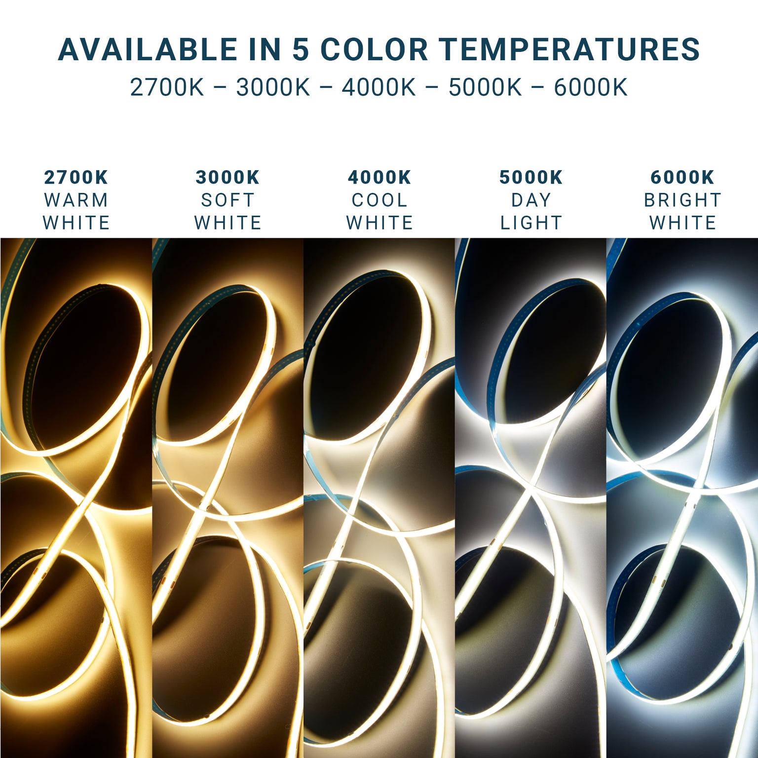 STRIP LIGHTS — Parmida LED Technologies